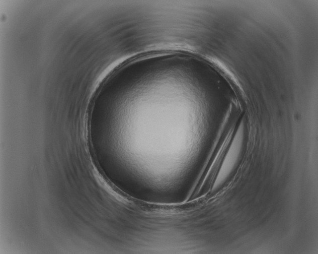 X0000086101468200704091340