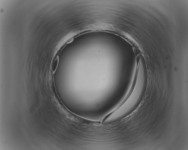 X0000086101469200704091340