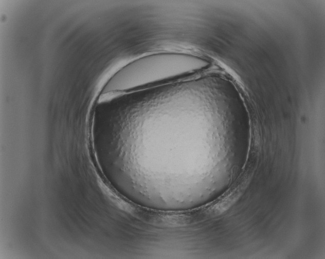 X0000086101471200704091340