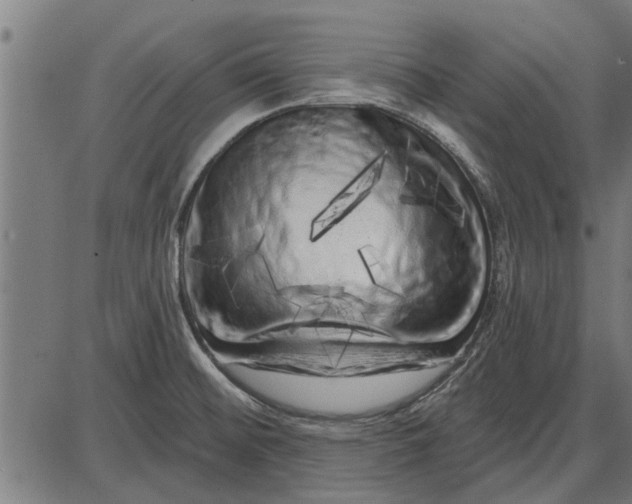 X0000086101476200704091339