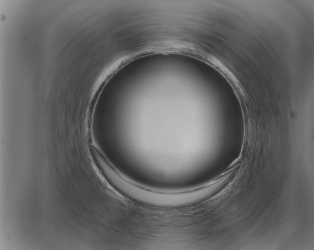 X0000086101477200704091339