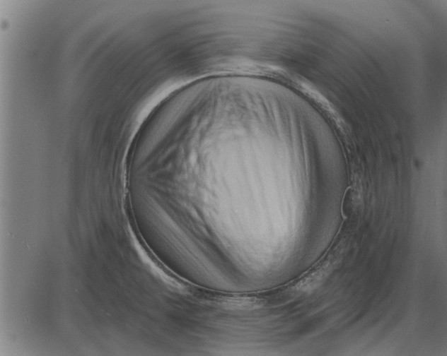 X0000086101479200704091339