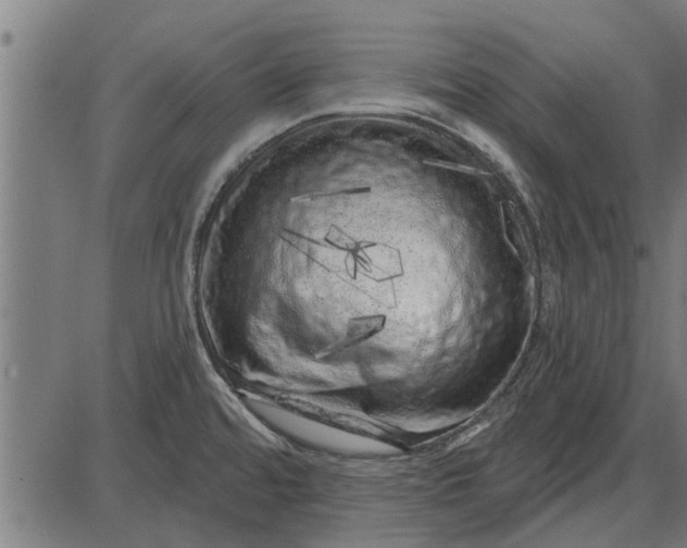 X0000086101480200704091339