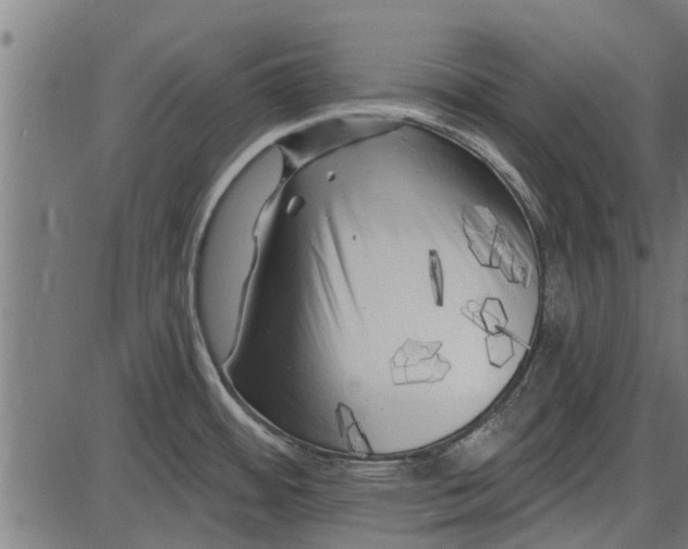 X0000086101484200704091339