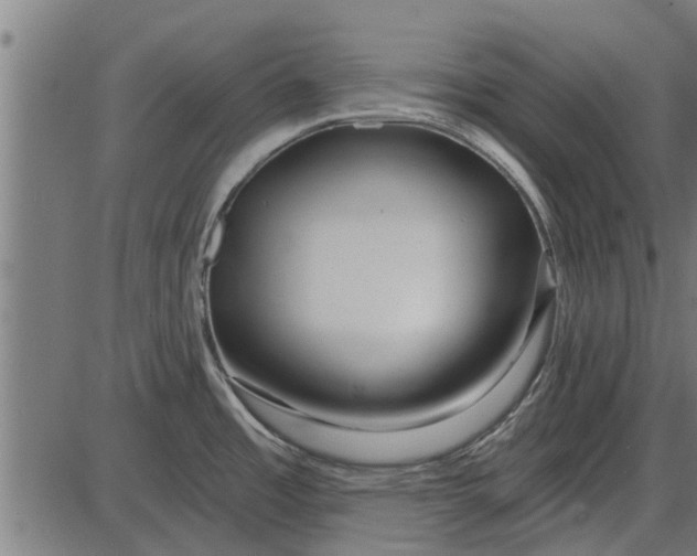 X0000086101485200704091339
