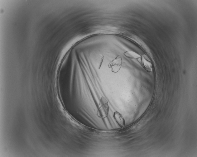 X0000086101488200704091339