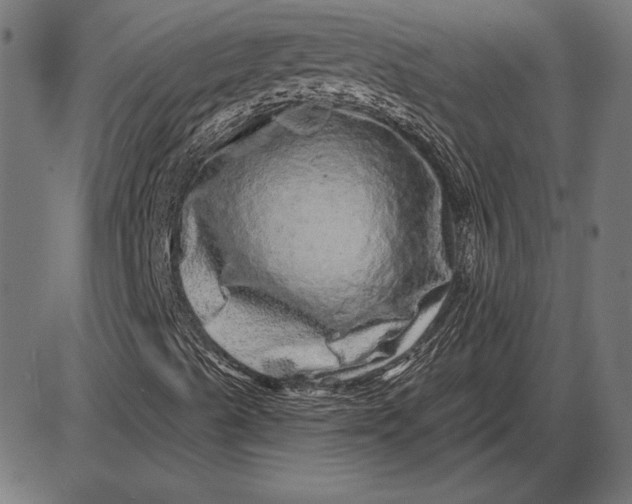 X0000086101489200704091338
