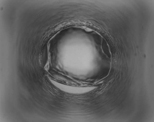 X0000086101490200704091338