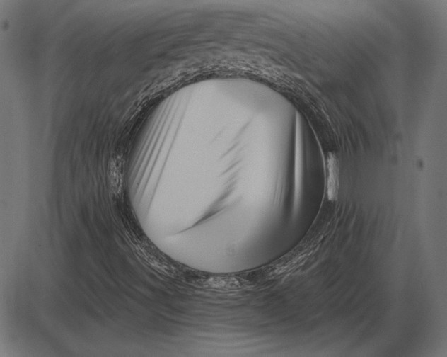 X0000086101491200704091339