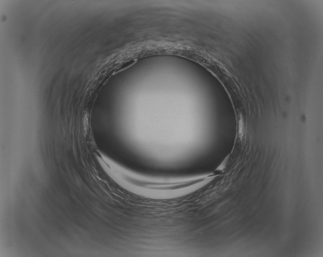X0000086101492200704091339