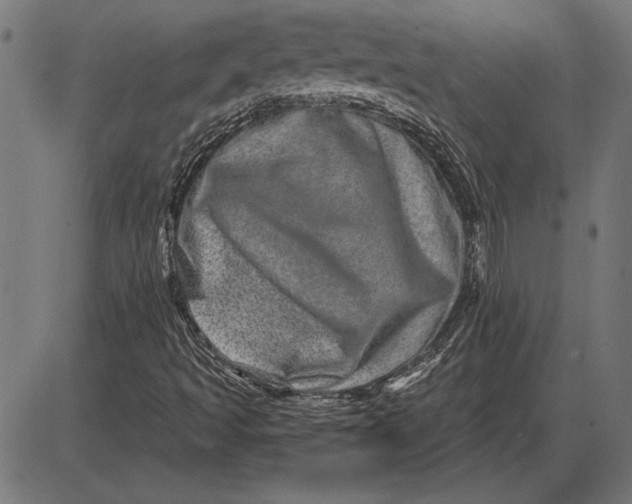 X0000086101493200704091339