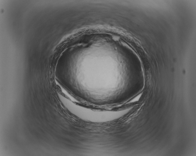 X0000086101494200704091339