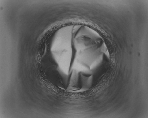 X0000086101495200704091339