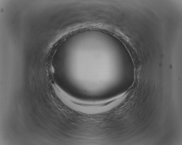X0000086101496200704091339