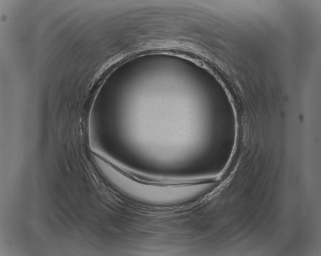 X0000086101497200704091339