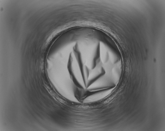X0000086101499200704091339