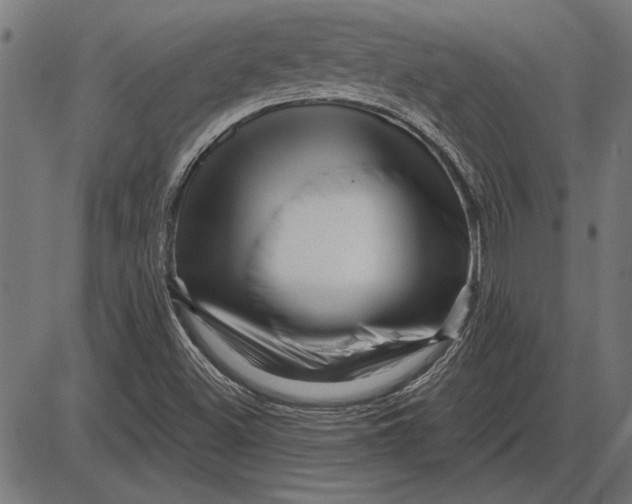 X0000086101500200704091339