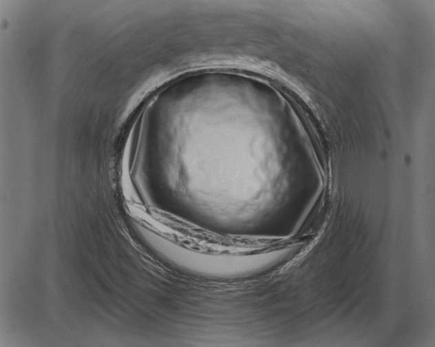 X0000086101501200704091339