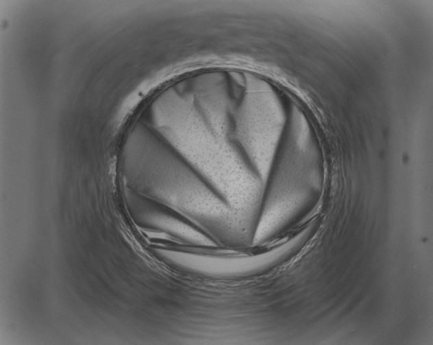X0000086101503200704091339
