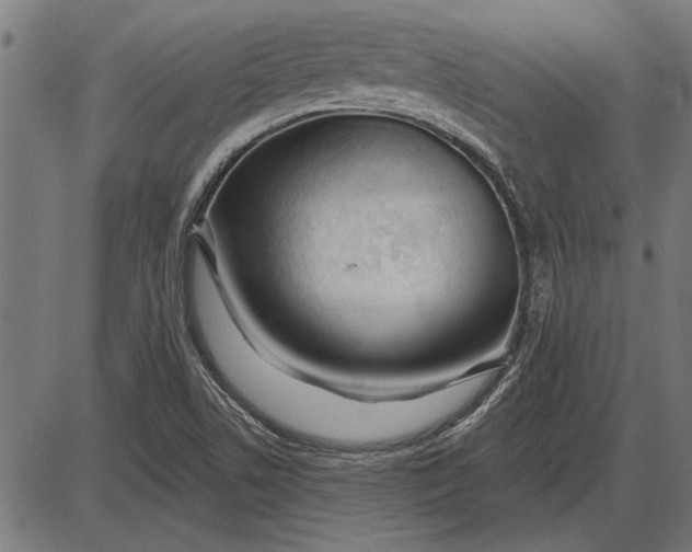X0000086101506200704091339