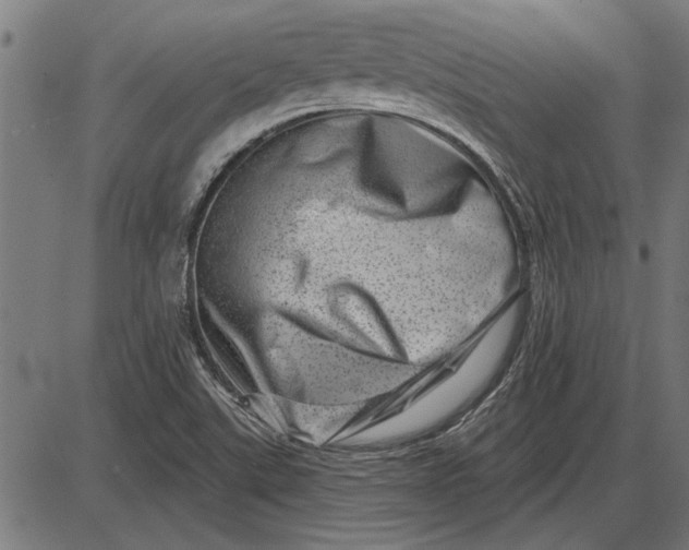 X0000086101507200704091339