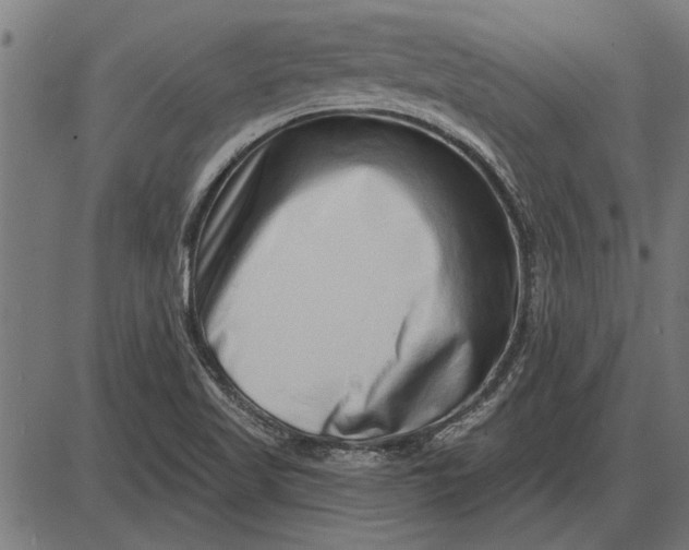 X0000086101509200704091339