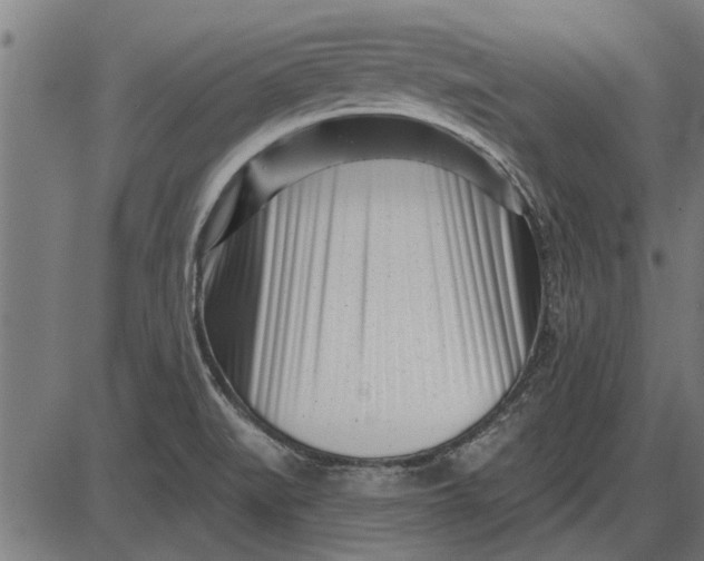 X0000086101519200704091339
