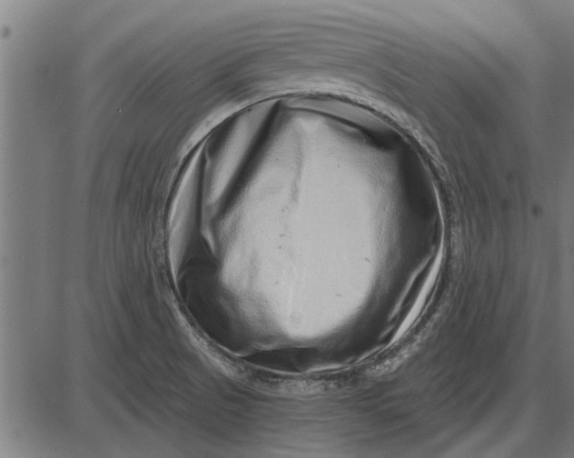 X0000086101521200704091339