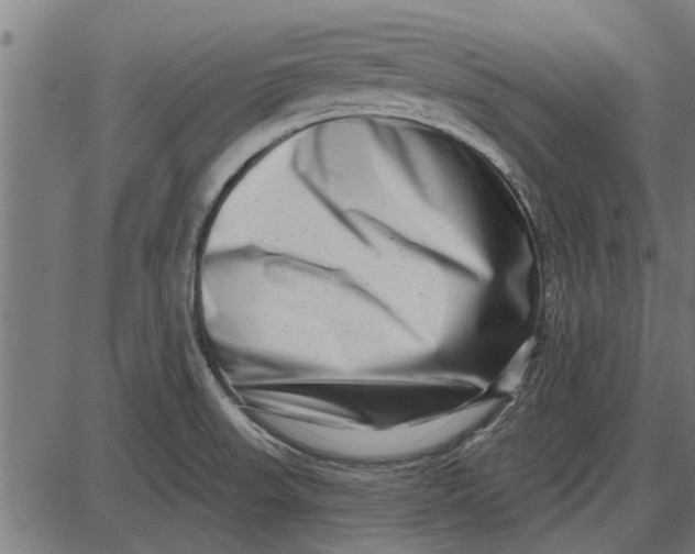 X0000086101523200704091339