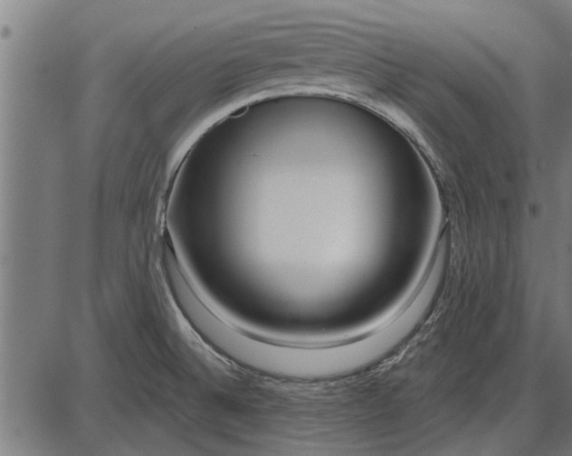 X0000086101524200704091339