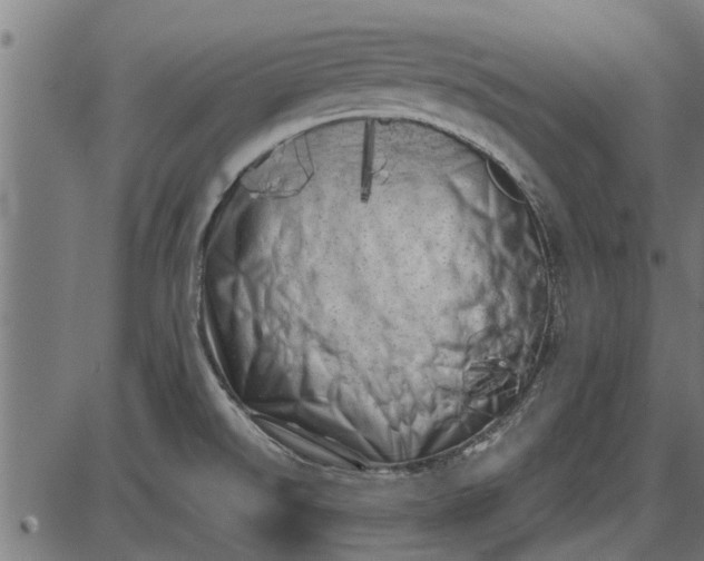 X0000086101526200704091339