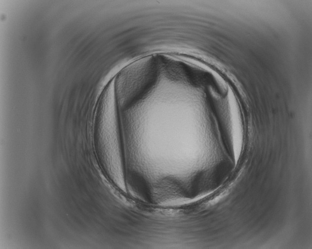 X0000086101529200704091339