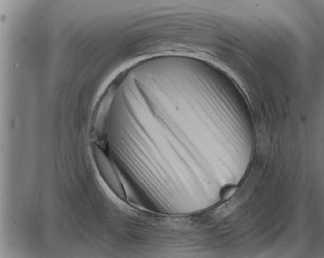 X0000086101531200704091339