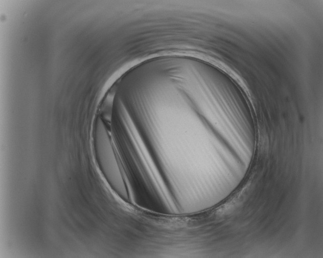 X0000086101533200704091339