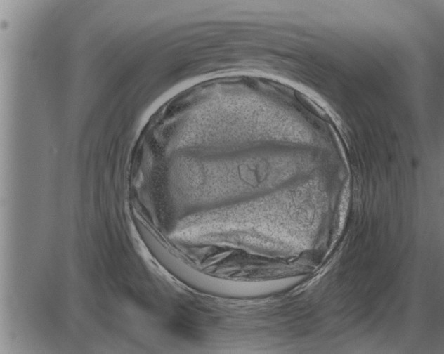 X0000086101534200704091339