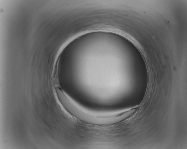 X0000086101536200704091339