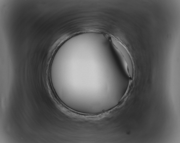 X0000086100001200704132157