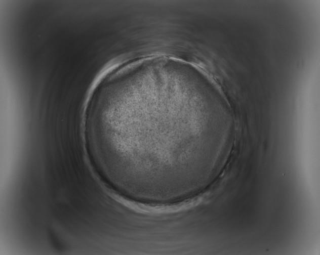 X0000086100006200704132157