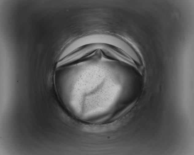 X0000086100009200704132157