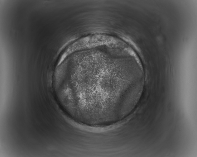 X0000086100010200704132157
