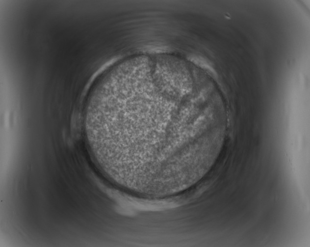 X0000086100012200704132157