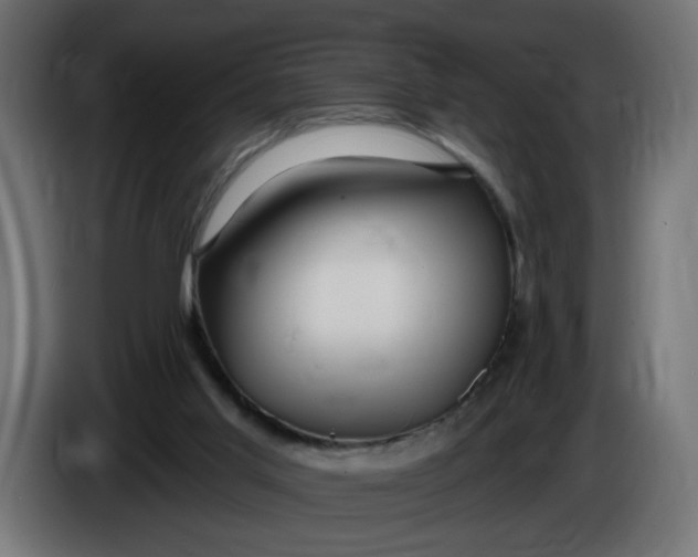 X0000086100013200704132157