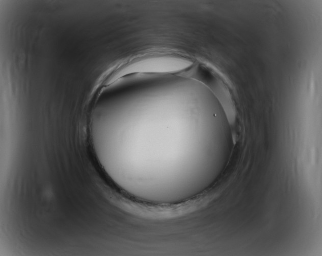 X0000086100015200704132157