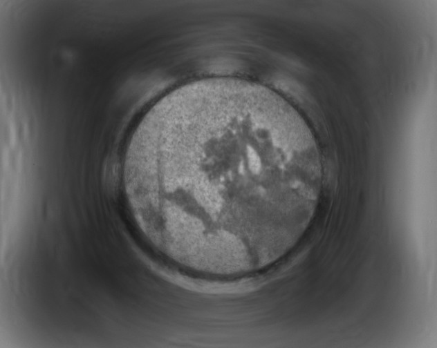 X0000086100016200704132157