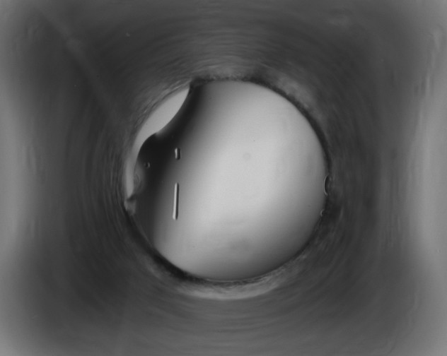 X0000086100017200704132157