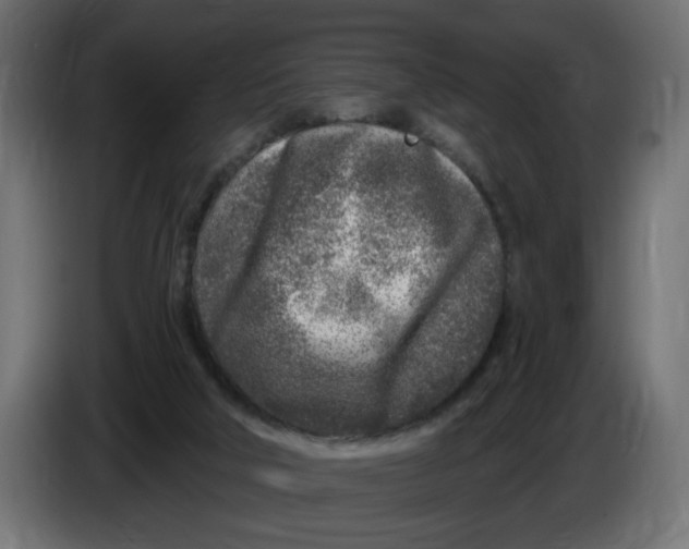 X0000086100018200704132157