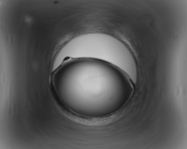 X0000086100019200704132157
