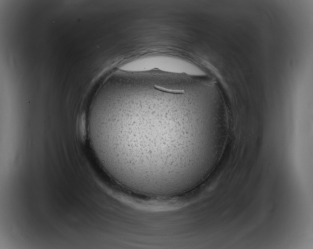 X0000086100020200704132157