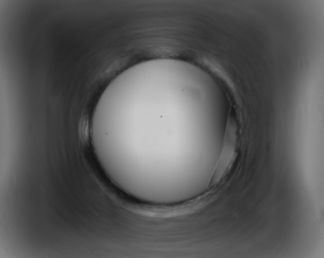 X0000086100021200704132157