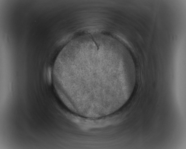 X0000086100022200704132157